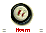 Hoorn 